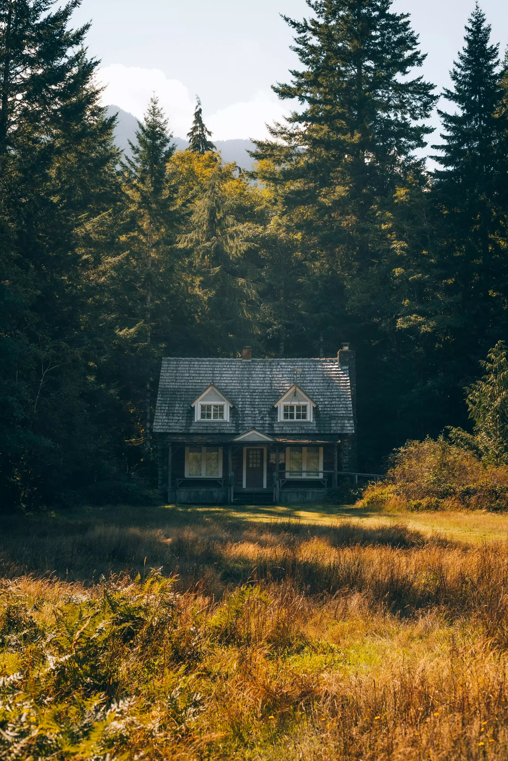 Geerbtes Haus Altes Haus im Wald